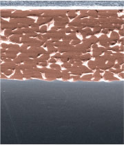 pMax Black™ Composition