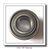 20 mm x 47 mm x 14 mm  SKF 1204 ETN9 ITALY Bearing 20*47*14